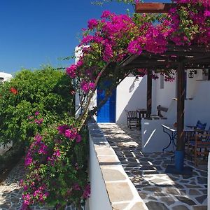 Standard Double or Twin Room Sea View